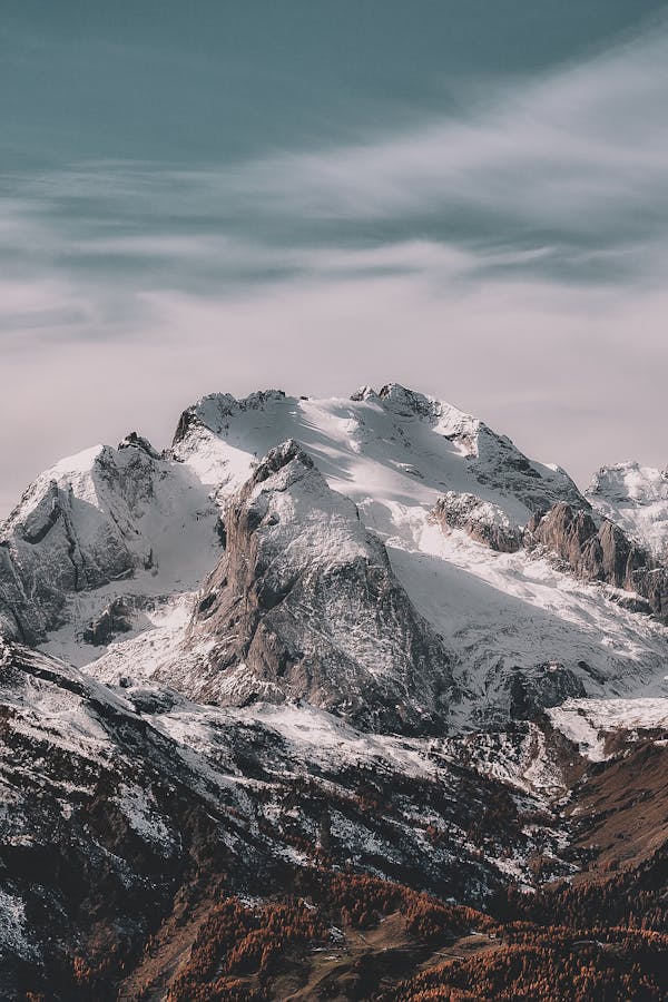 Fotograafia